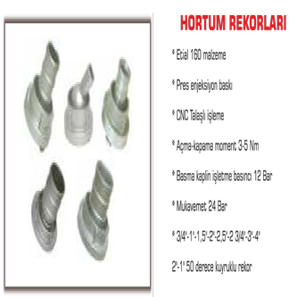 HORTUM REKORLARI