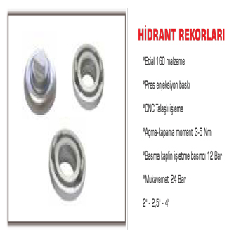 HİDRAT REKORLAR